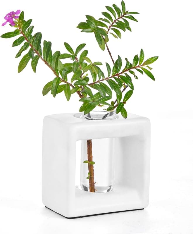 ORGJ Ceramic Propagation Station with Glass Tubes