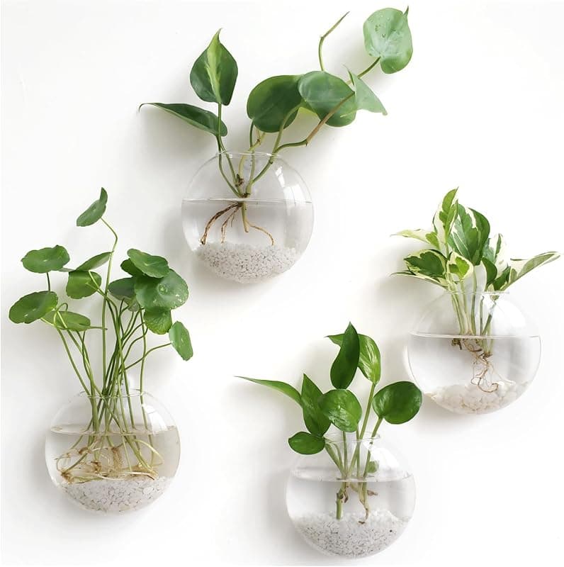 Mkono Wall Propagation Planters, oblate hanging vases, 4 pack