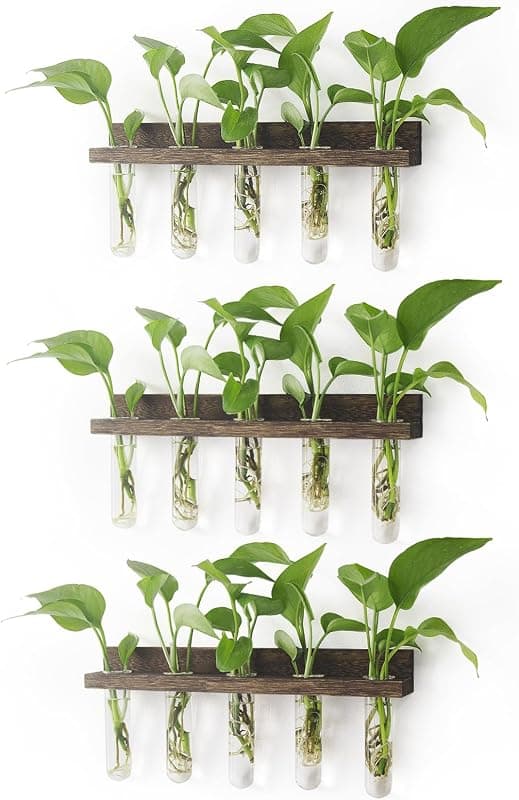 Renmxj Wall Hanging Propagation Station, 15 test tubes, 3 tiers