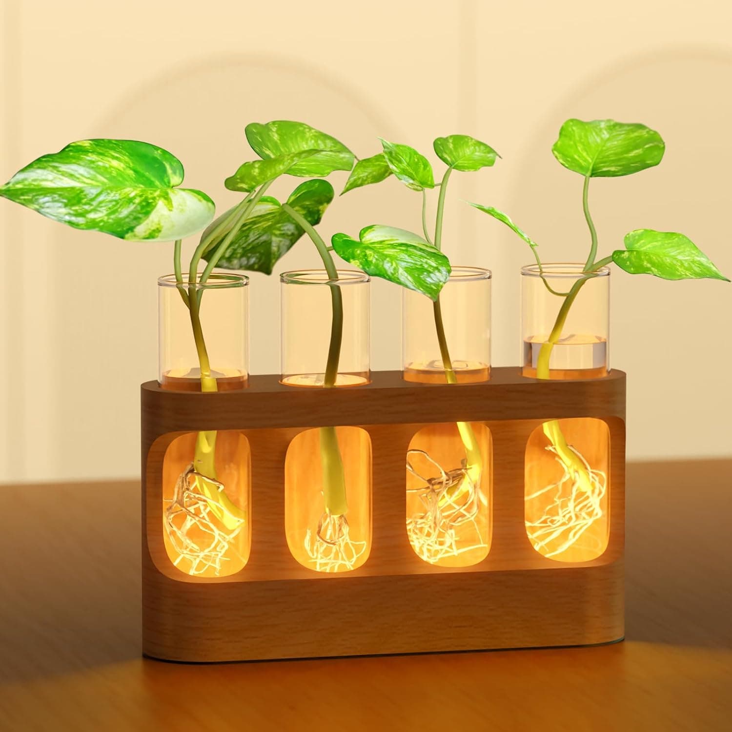 Giunn Propagation Station with 9-Speed Adjustable LED, 4 test tubes