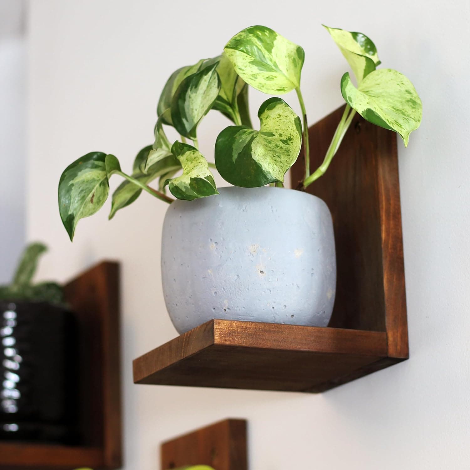 Daniel's Plants L Shaped Floating Plant Shelf, solid wood, 3 pack