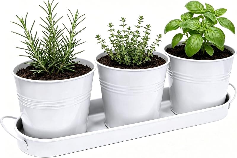 TCBWFY 4.7 in Metal Herb Pots with Drainage and Removable Tray, 3 pack