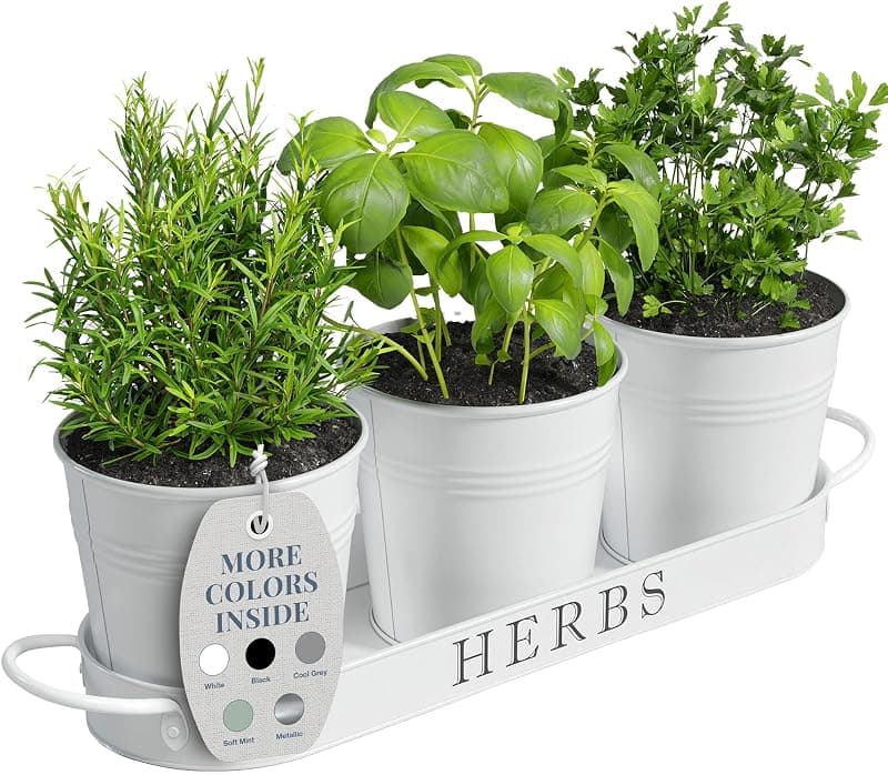 Barnyard Designs Indoor Herb Garden Planter Pots with Trays, set of 3
